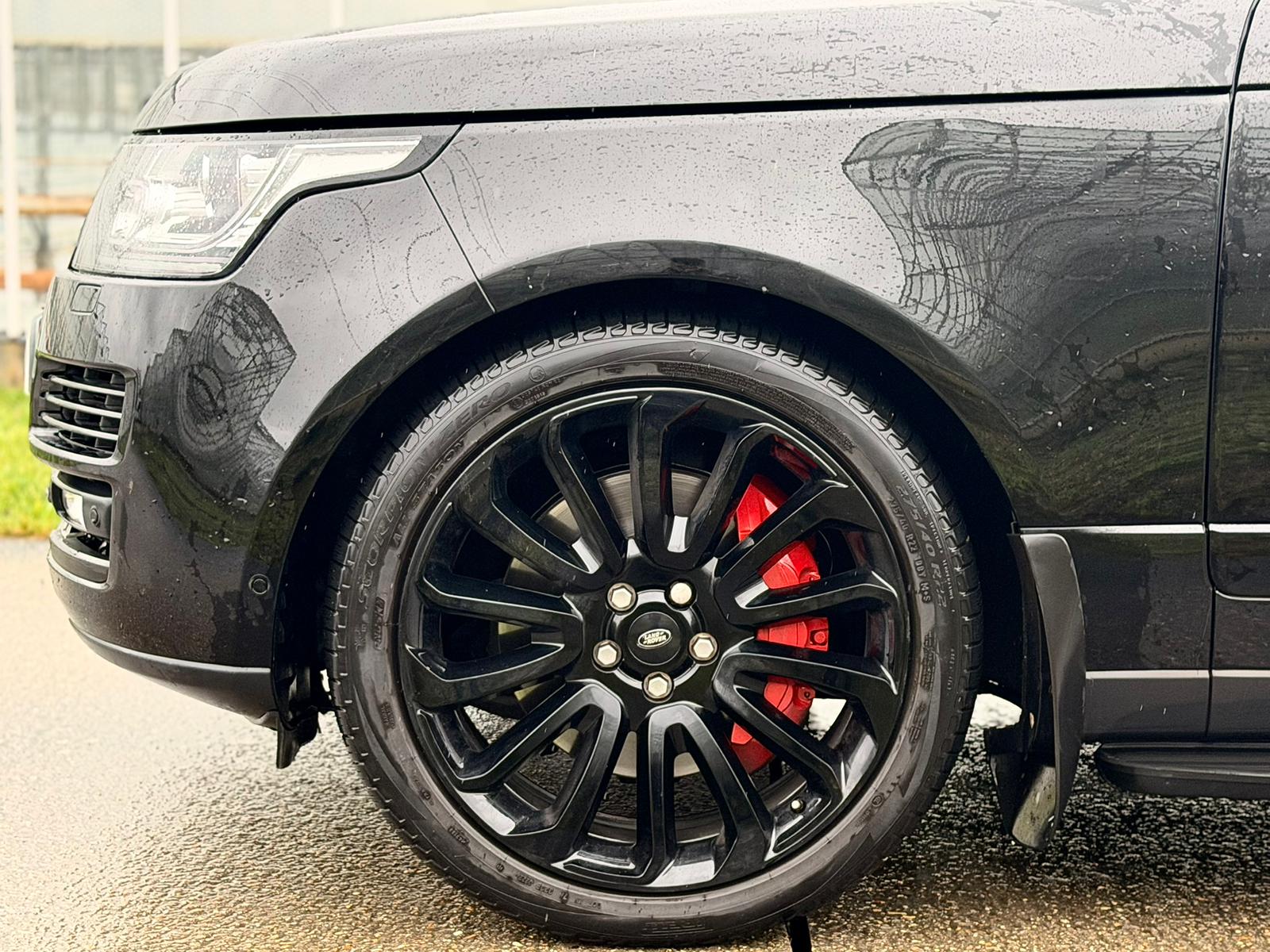 WhatsApp Image 2026-02-21 at 2.07.12 PM