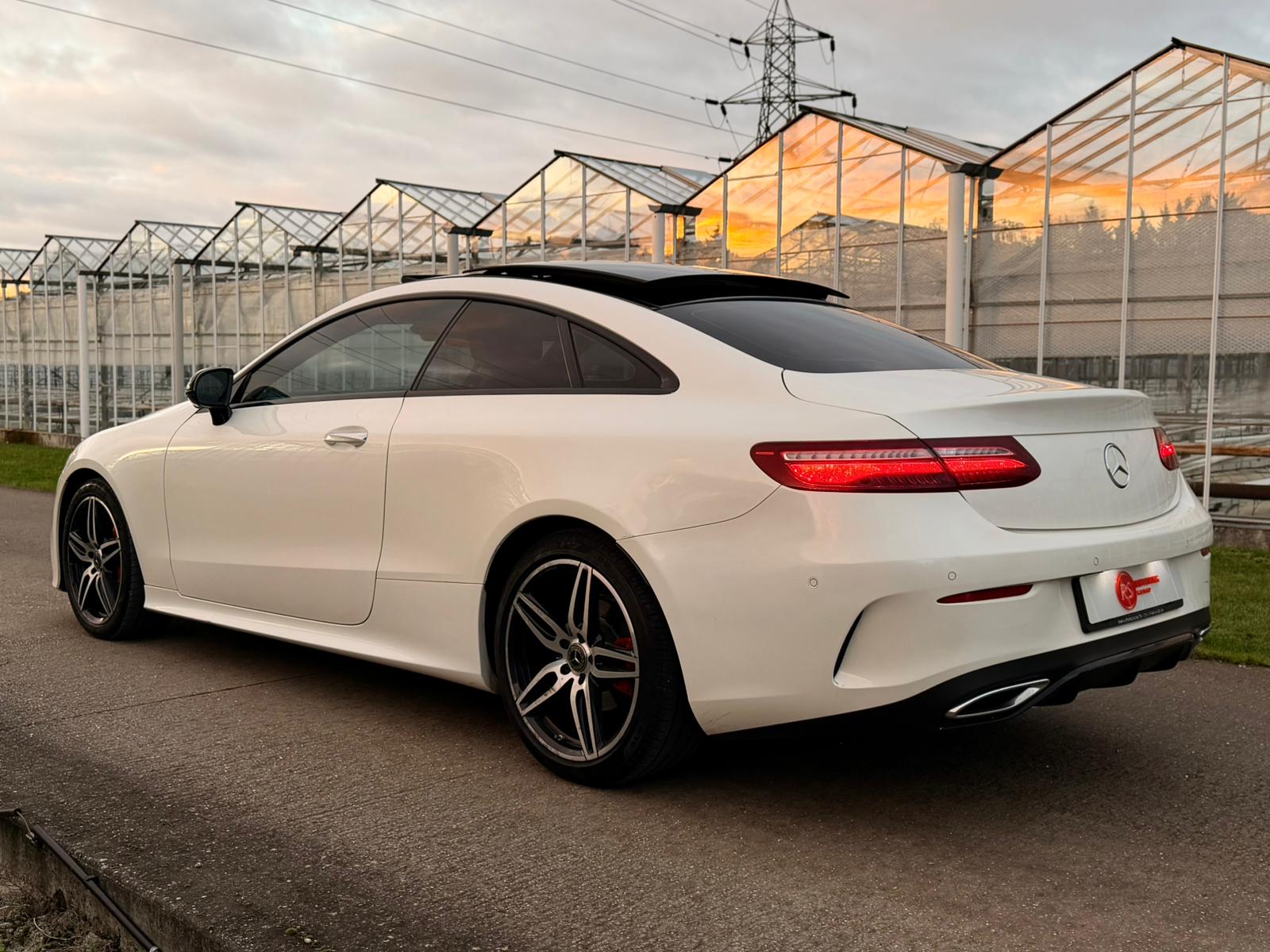 WhatsApp Image 2026-02-21 at 2.07.27 PM (1)